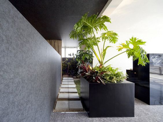 Vietnam Interior Design